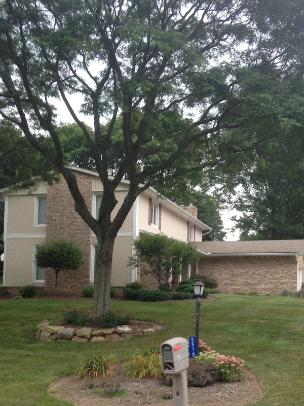 Completed Accelerated Concepts home improvement project